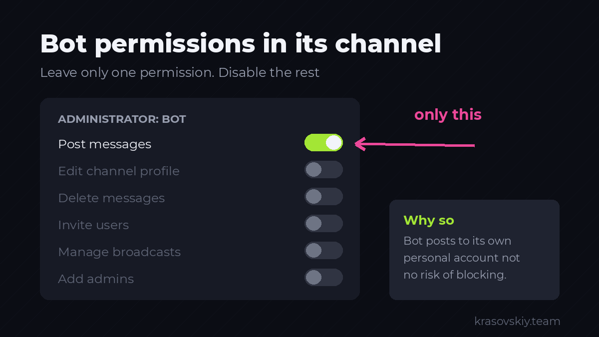 The Bot Only Needs One Permission: Posting Access